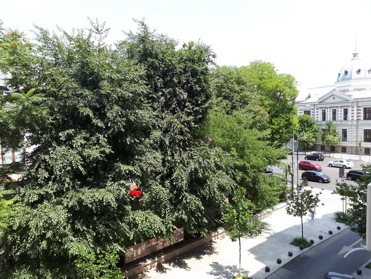 Studio Old Center 부쿠레슈티 외부 사진